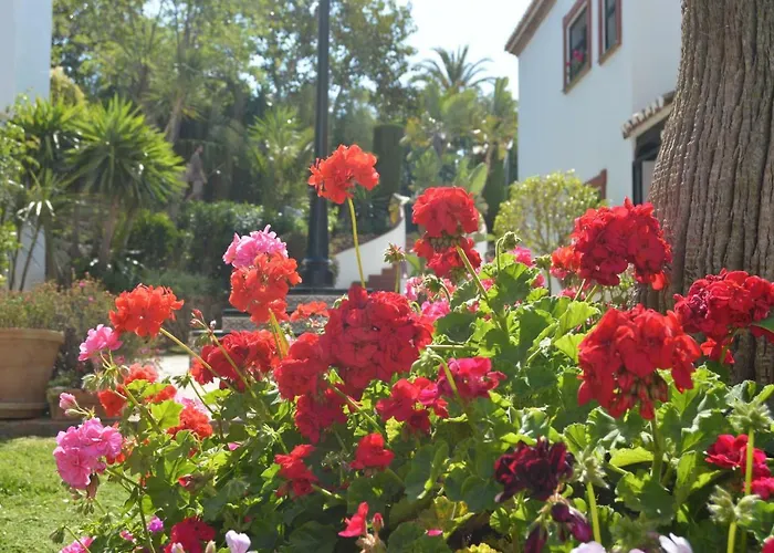 Puebla Agata Marbella